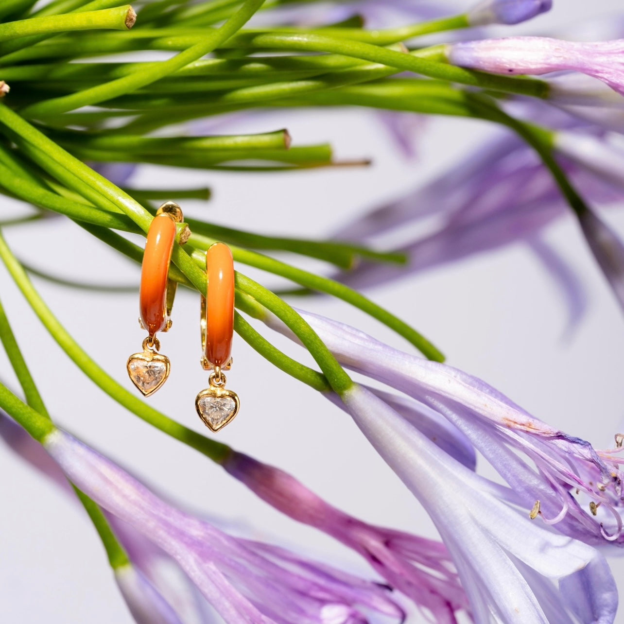 Naranja Gold Orange Huggies on flowers