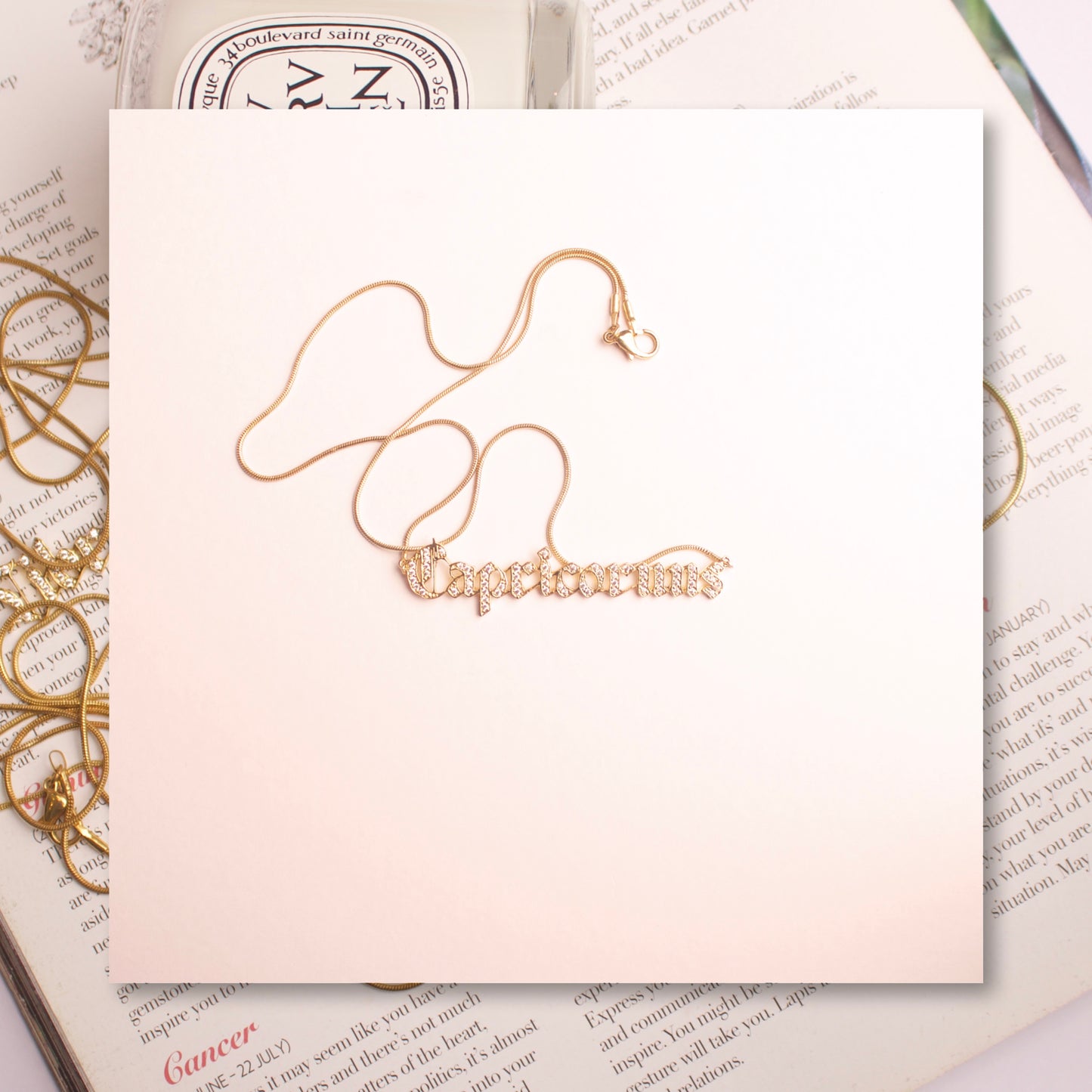 Capricorn Zodiac Signs Sterling Silver Necklace