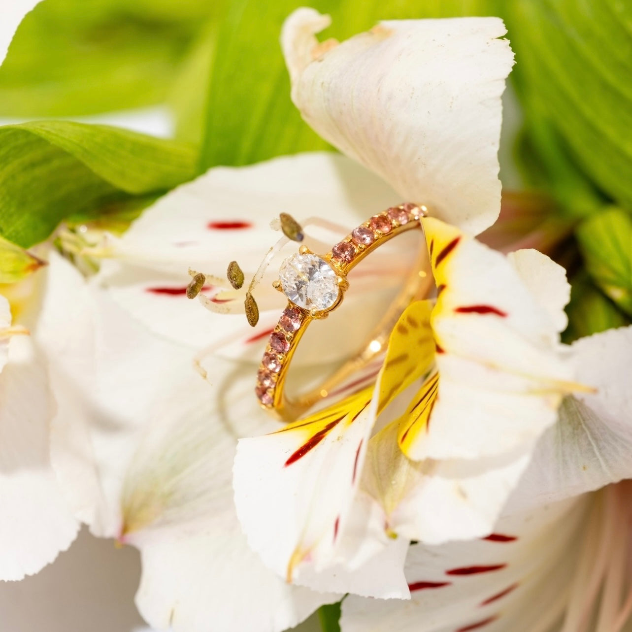 Peach Lover Yellow Gold Ring on a flower